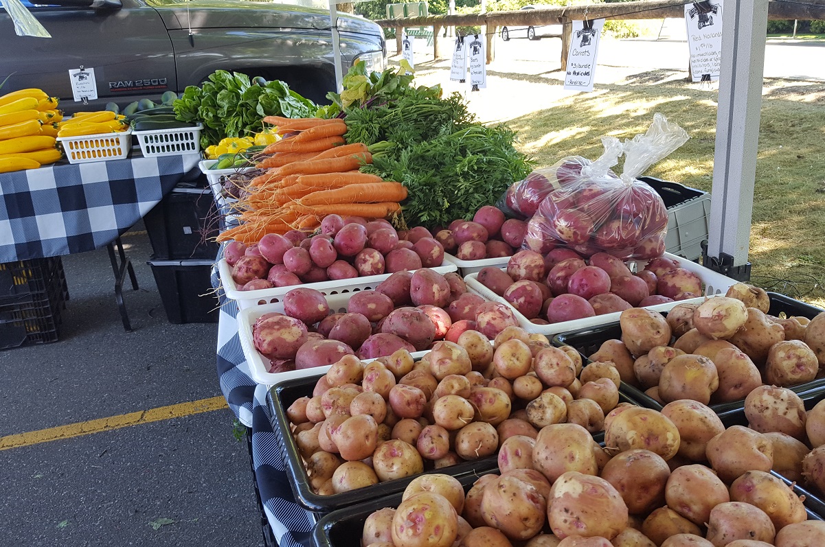 Vegetables for sale at the Rondriso Farms Tent at the Clayton Community Farmer's Market.