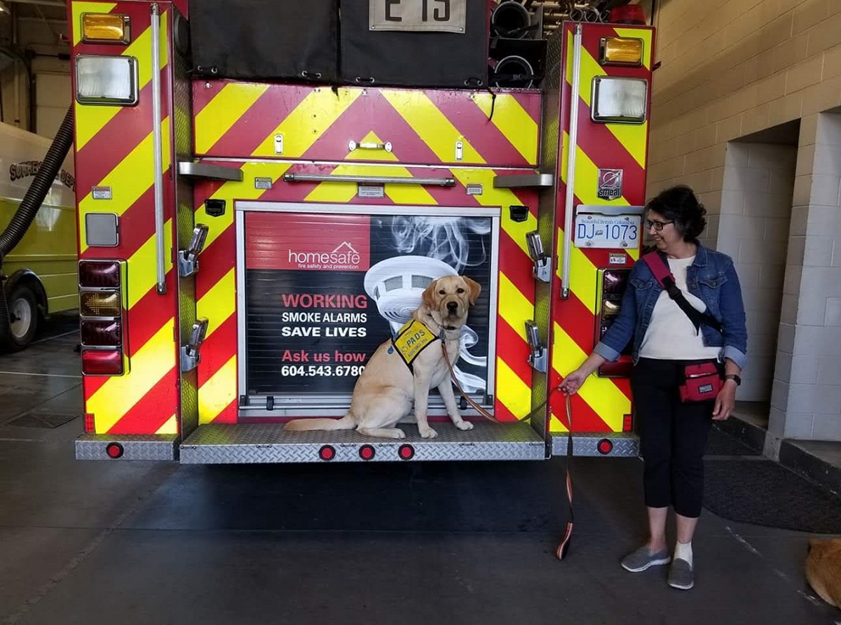 A woman holds a dog on a leach in front of a firetruck.