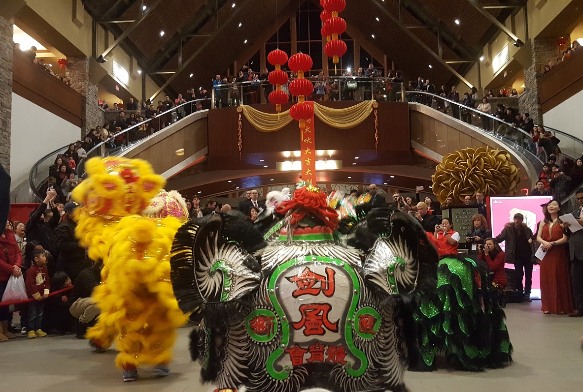 Students perform traditional Chinese lion dances at a Chinese New Year celebration.