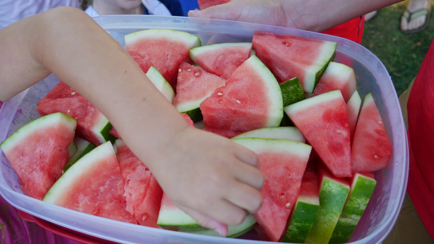 sliced watermelon